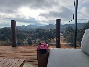 La Dehesa Experiencia